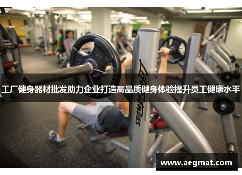工厂健身器材批发助力企业打造高品质健身体验提升员工健康水平