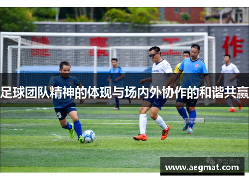 足球团队精神的体现与场内外协作的和谐共赢