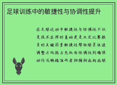 足球训练中的敏捷性与协调性提升