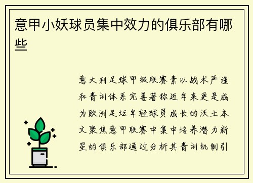 意甲小妖球员集中效力的俱乐部有哪些